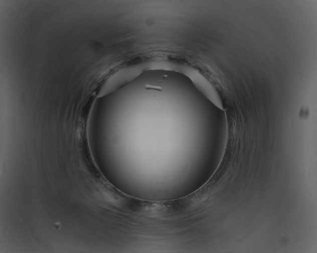 X0000089950125200707131524