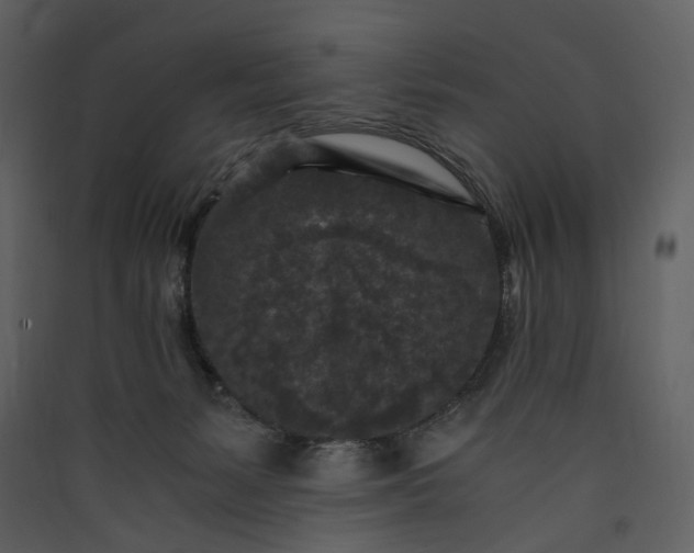 X0000089950127200707131524