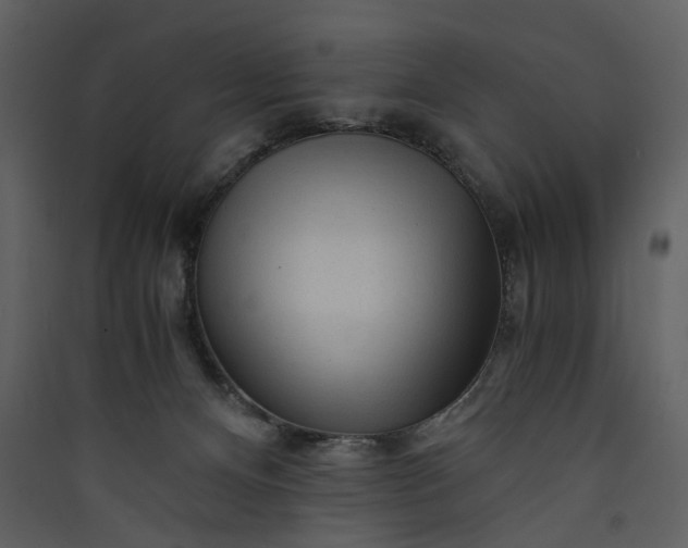 X0000089950128200707131524