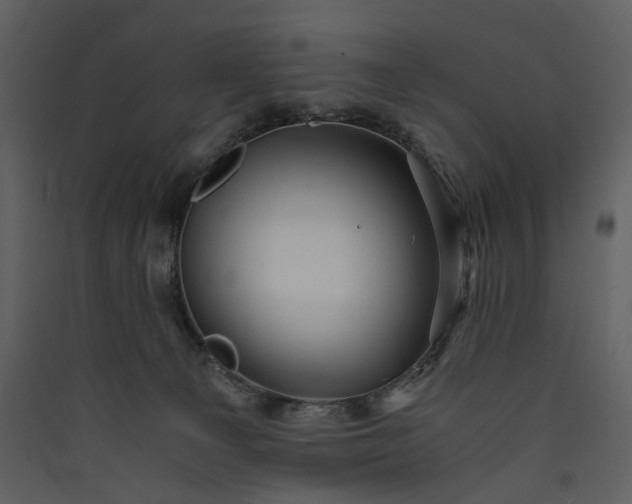 X0000089950129200707131524