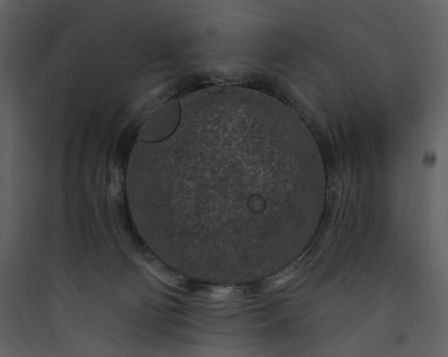 X0000089950130200707131524