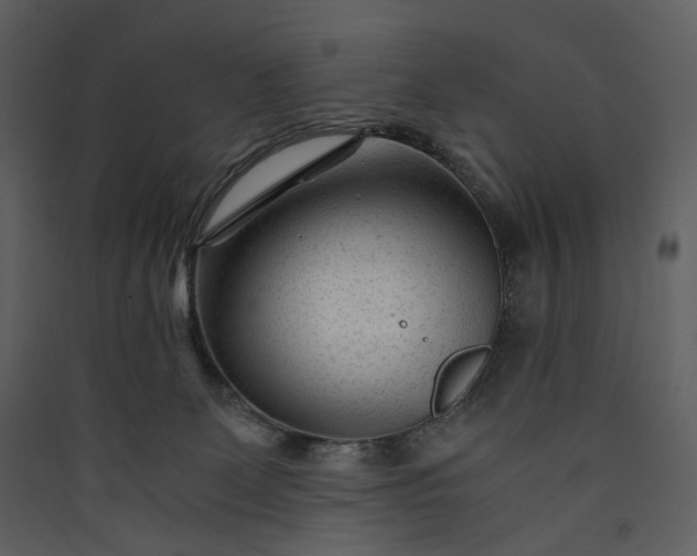 X0000089950131200707131524