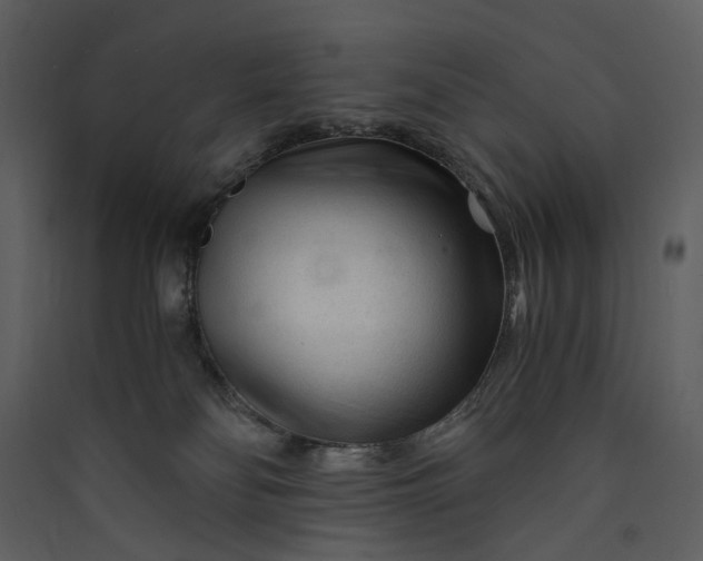 X0000089950134200707131524