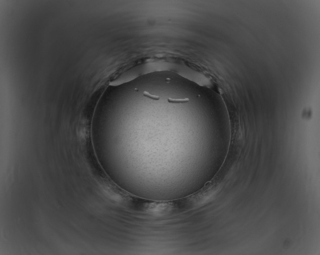 X0000089950135200707131524