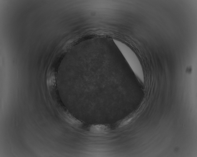 X0000089950137200707131524