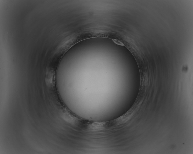 X0000089950138200707131524