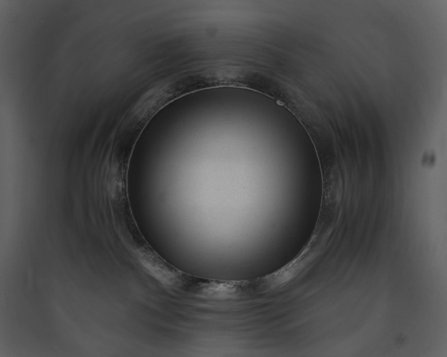 X0000089950140200707131524