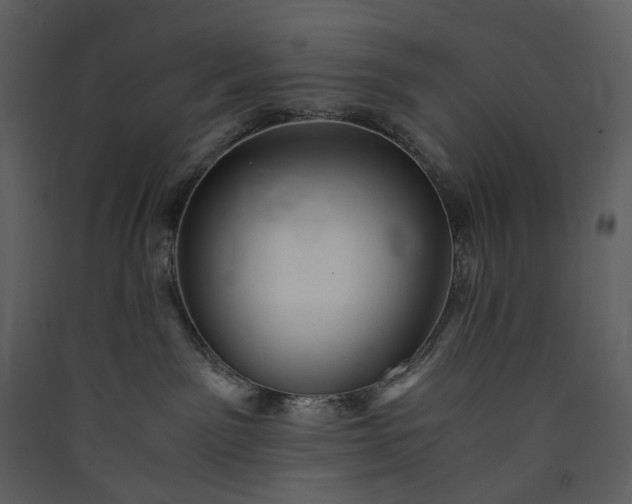 X0000089950141200707131524