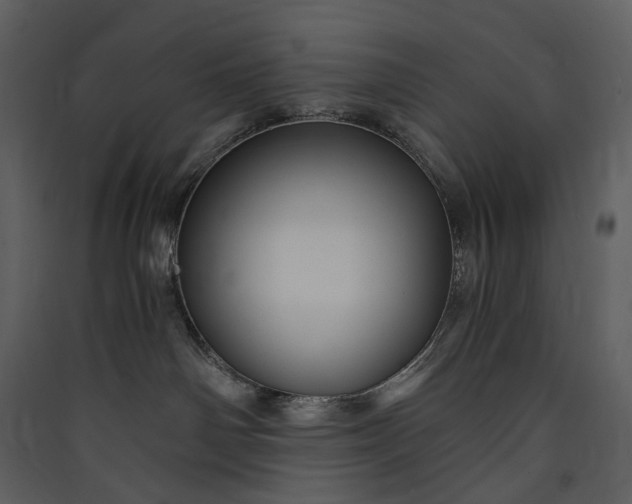 X0000089950142200707131524