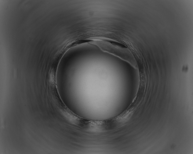 X0000089950143200707131524