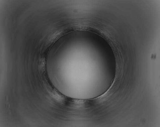 X0000089950144200707131524