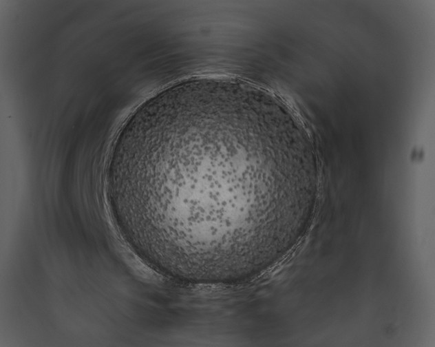 X0000089950145200707131523