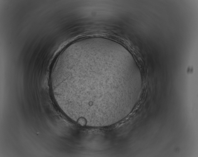 X0000089950146200707131523