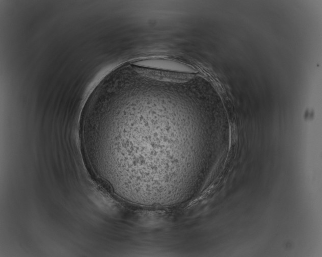 X0000089950147200707131523