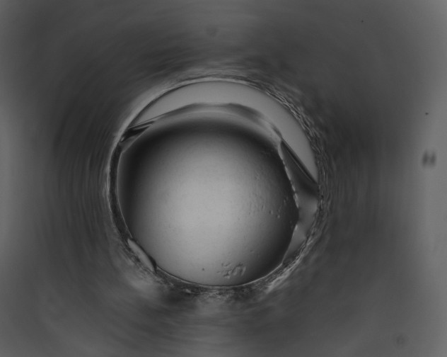 X0000089950148200707131523