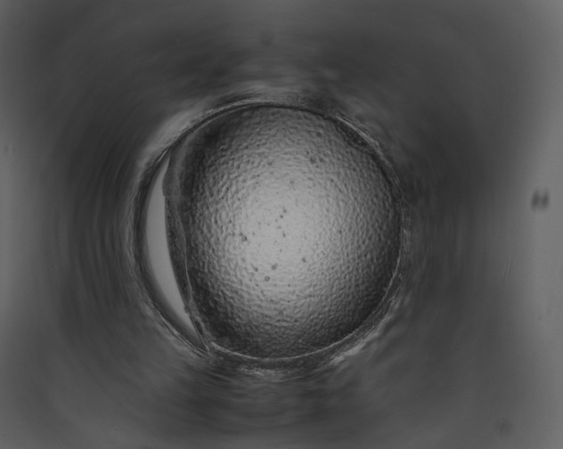 X0000089950149200707131523