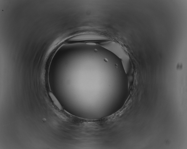 X0000089950150200707131523