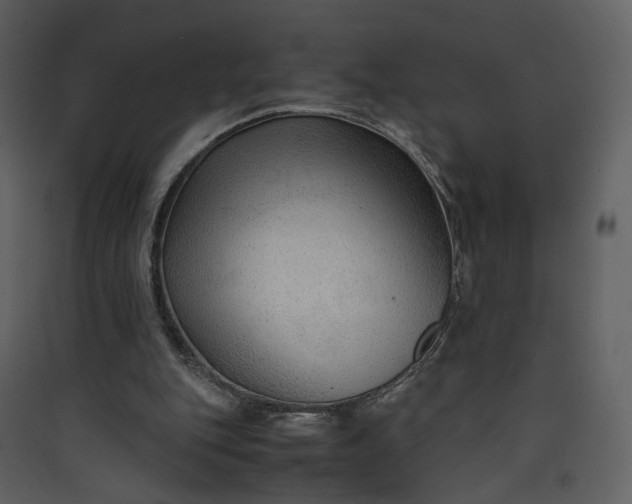 X0000089950151200707131523