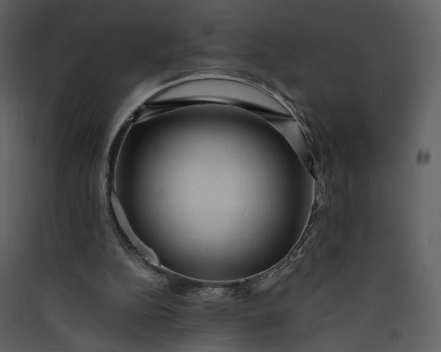 X0000089950152200707131523