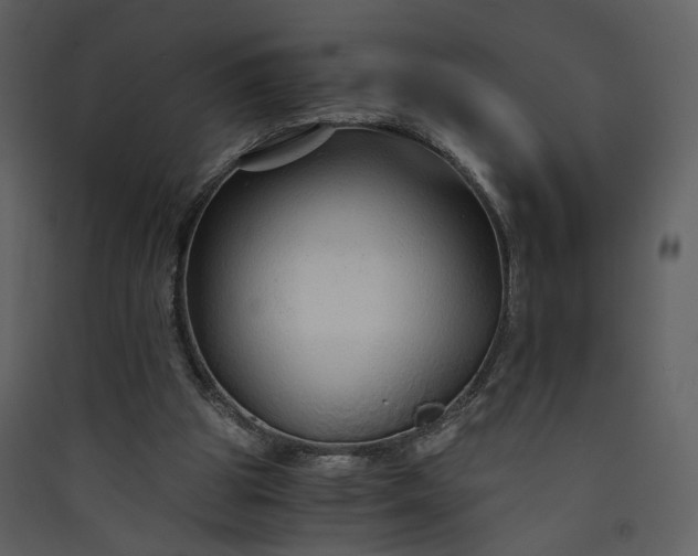 X0000089950153200707131523