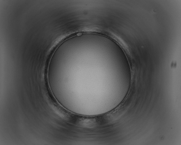 X0000089950155200707131523
