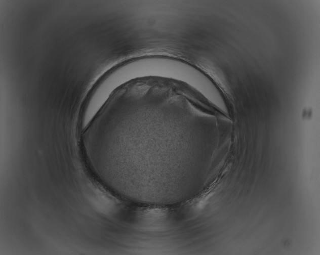 X0000089950156200707131523