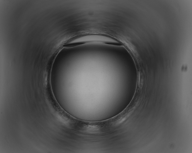 X0000089950157200707131523