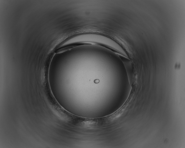 X0000089950158200707131523