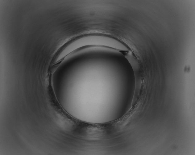 X0000089950160200707131523