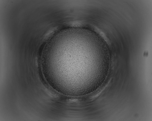X0000089950161200707131523