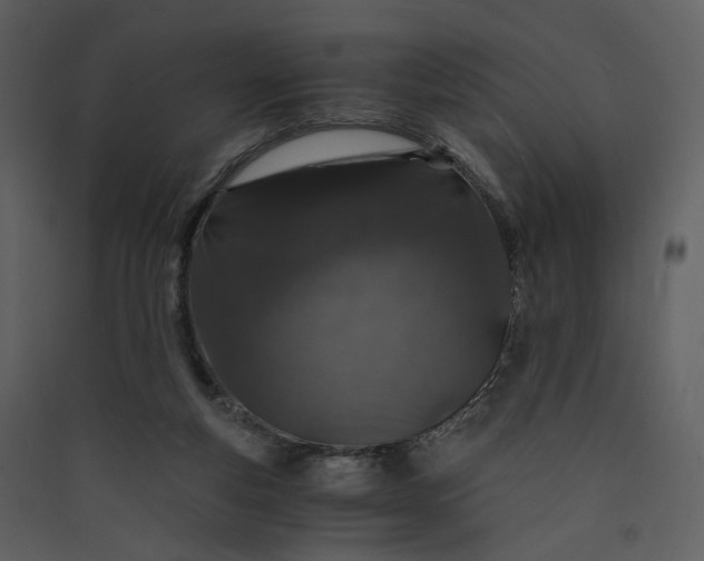 X0000089950163200707131523