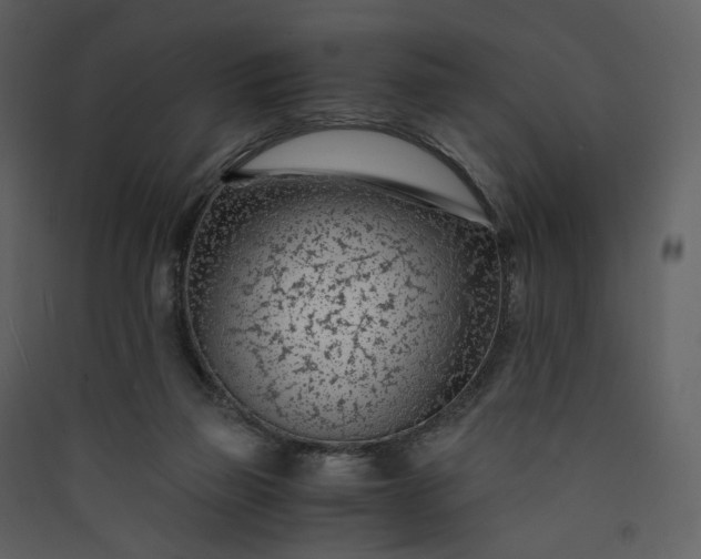 X0000089950165200707131523
