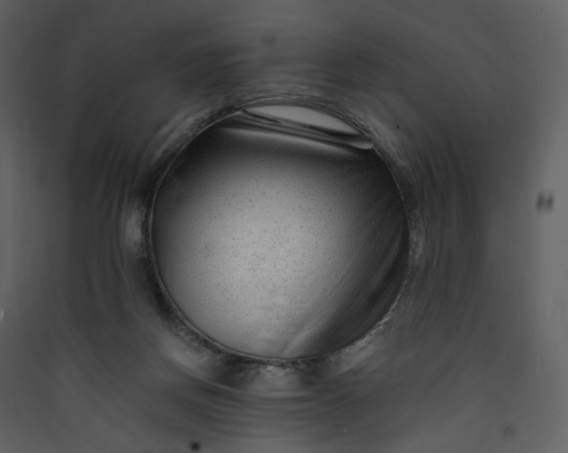 X0000089950166200707131523