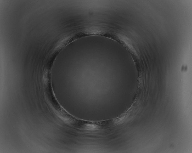 X0000089950167200707131523