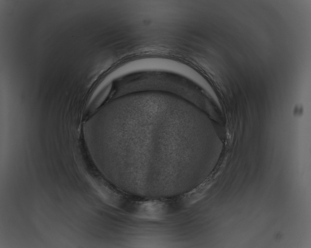 X0000089950168200707131523
