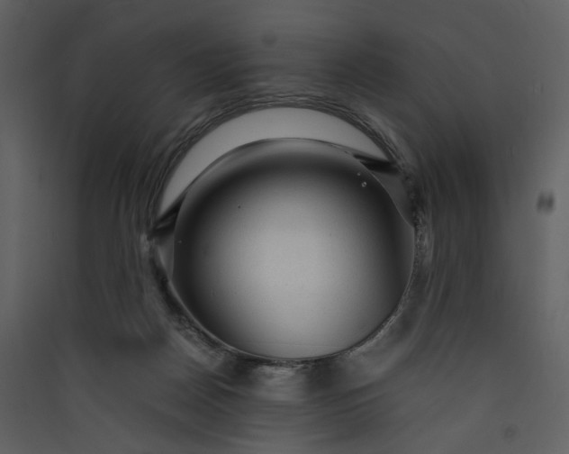 X0000089950170200707131523