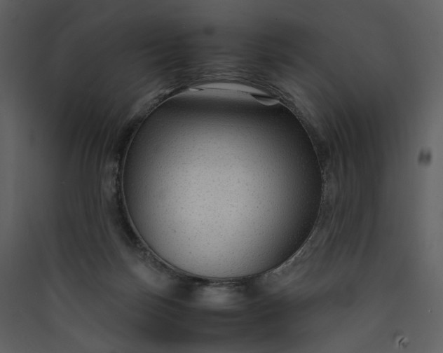 X0000089950171200707131524