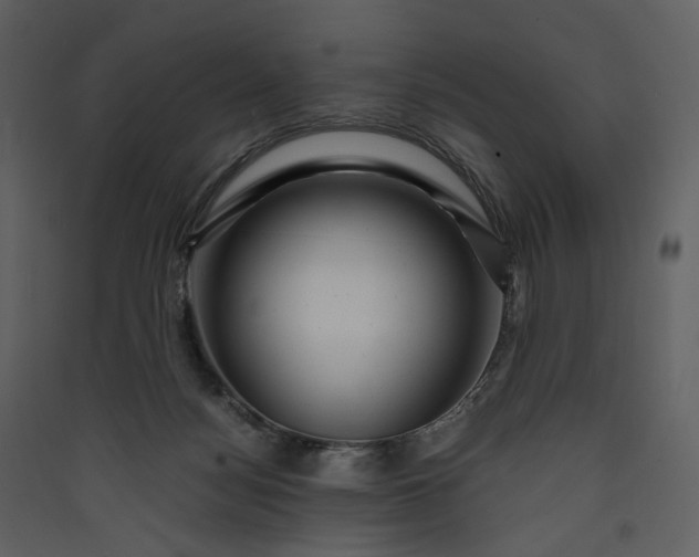 X0000089950172200707131524