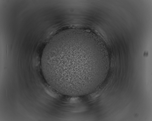 X0000089950173200707131524