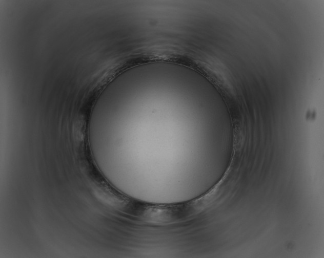 X0000089950174200707131524