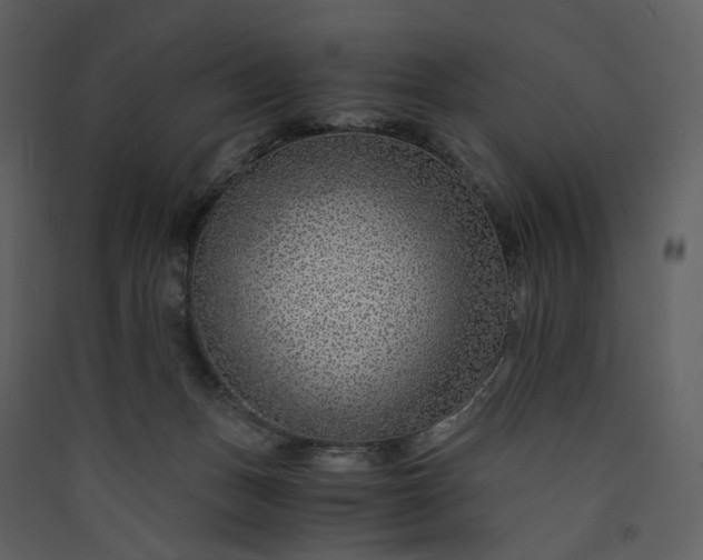 X0000089950175200707131524