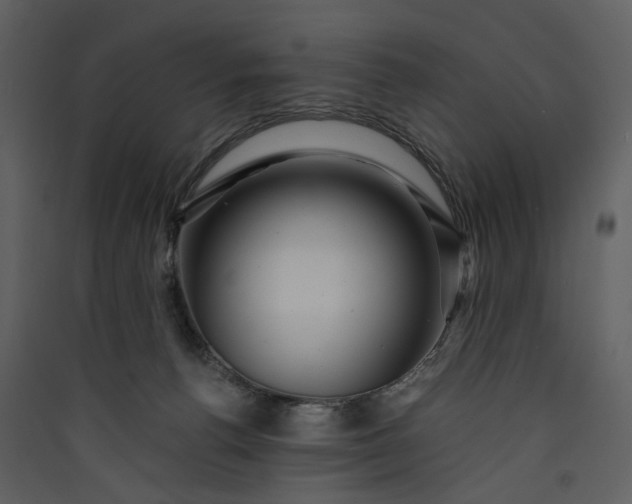 X0000089950176200707131524