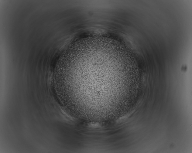 X0000089950177200707131524