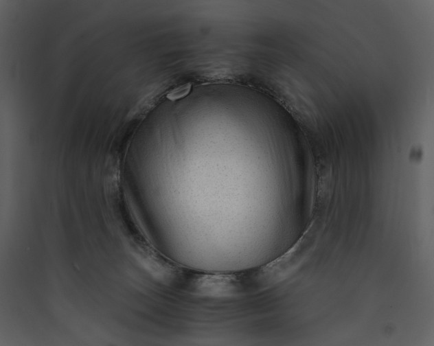 X0000089950179200707131524