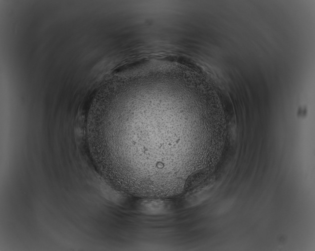 X0000089950181200707131524