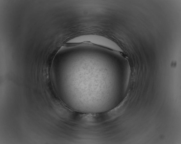 X0000089950182200707131524