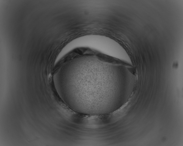 X0000089950186200707131524