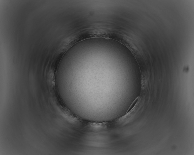 X0000089950187200707131524