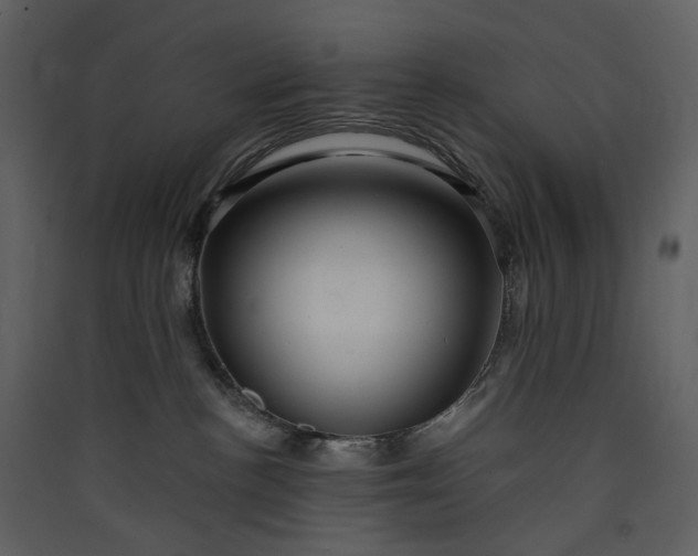 X0000089950188200707131524