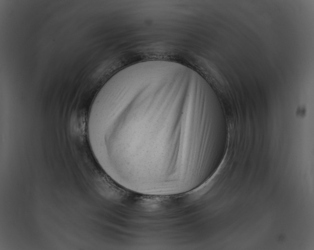 X0000089950190200707131524